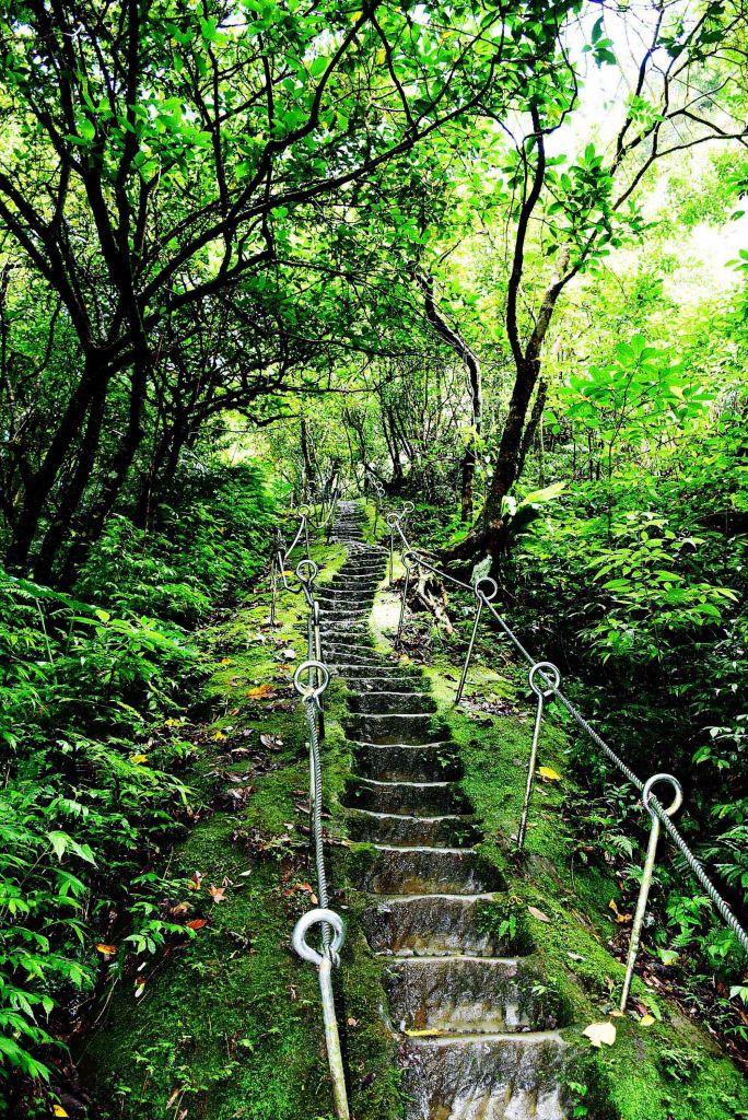 20180826孝子山_395988