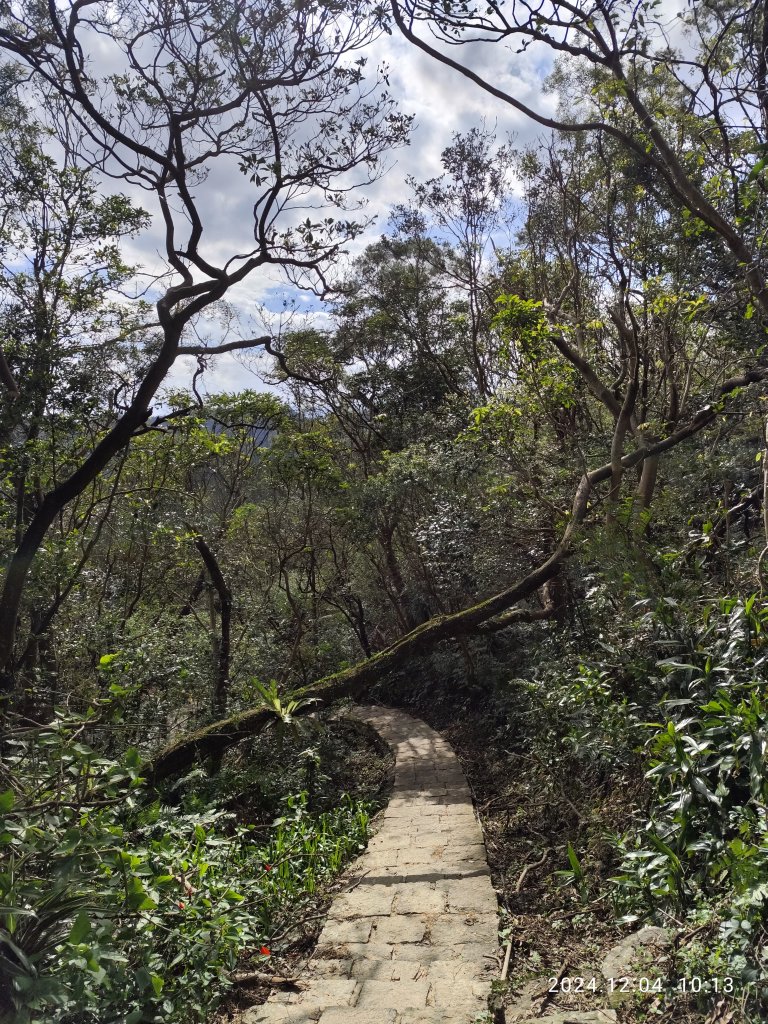 【臺北大縱走 6】中華科大→九五峰→南港山→拇指山→妙高臺→糶米古道→忠正嶺安祿宮→世界山莊→軍功山_2662749