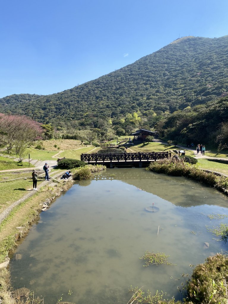 大屯主峰 遼闊景色封面圖