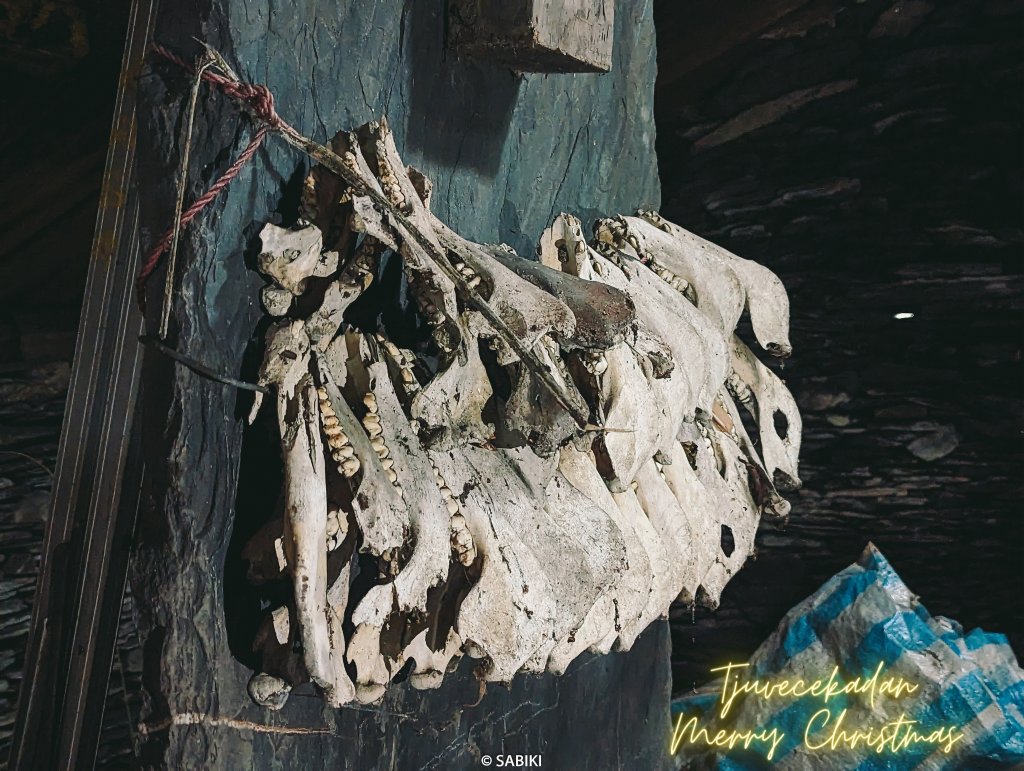 【排灣，Tjuvecekadan】埋藏在綠色叢林中的寶藏- 老七佳_2401196