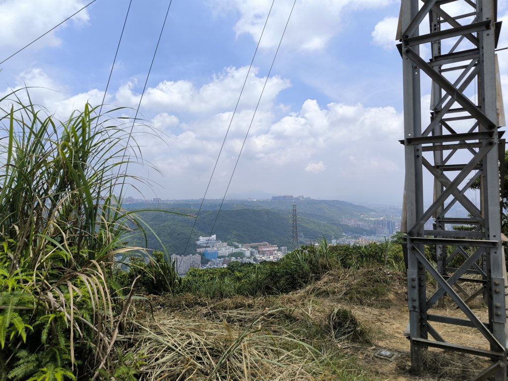 20250809樹迴縱走_2855058