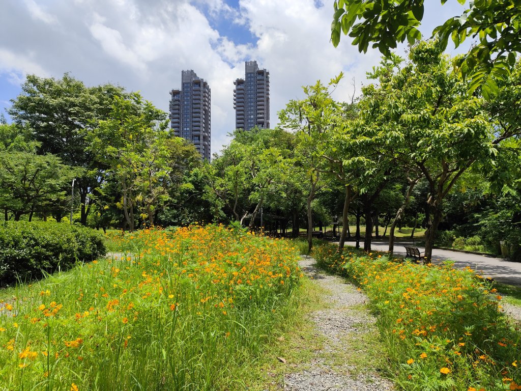 大安森林公園、大港墘公園【走路趣尋寶】【臺北健走趣】封面圖