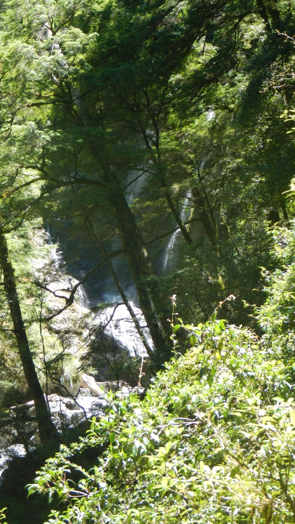 【山岳之美】102.07.21-27北一段逆走_4986