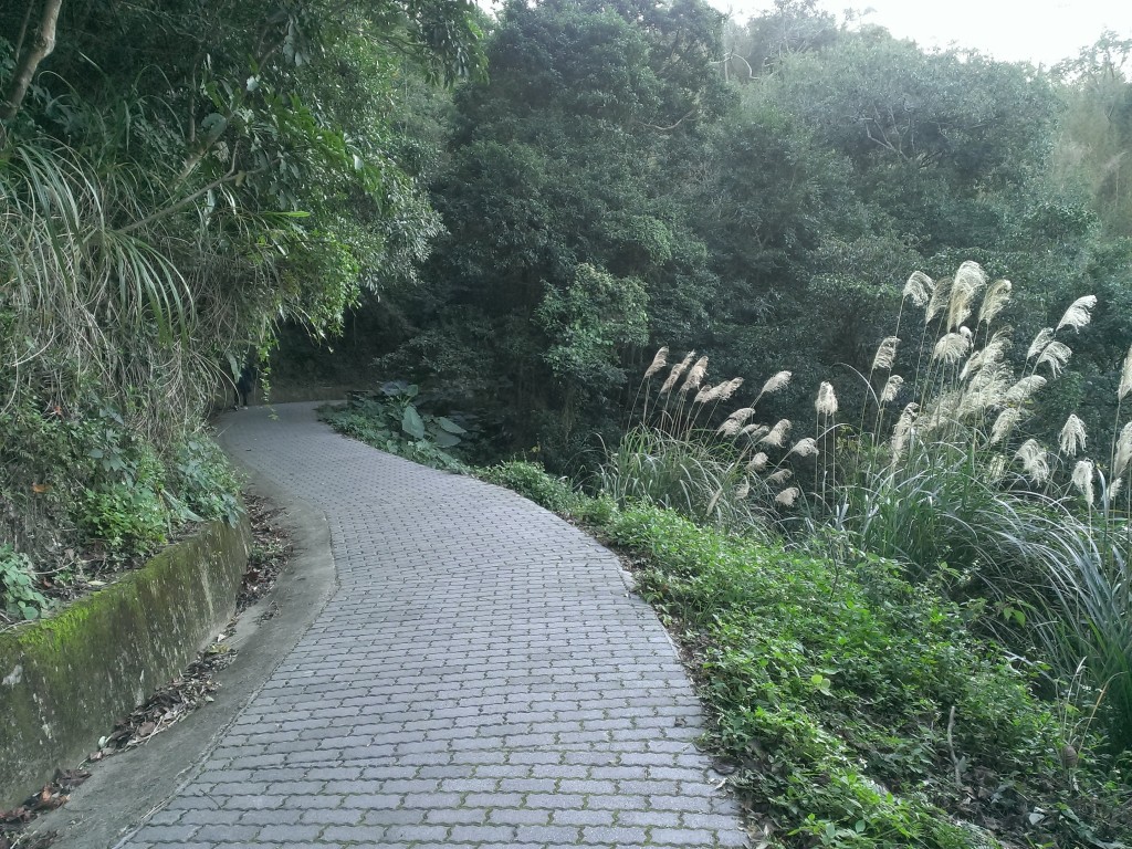 寶山水庫環湖步道--with Bike_247927
