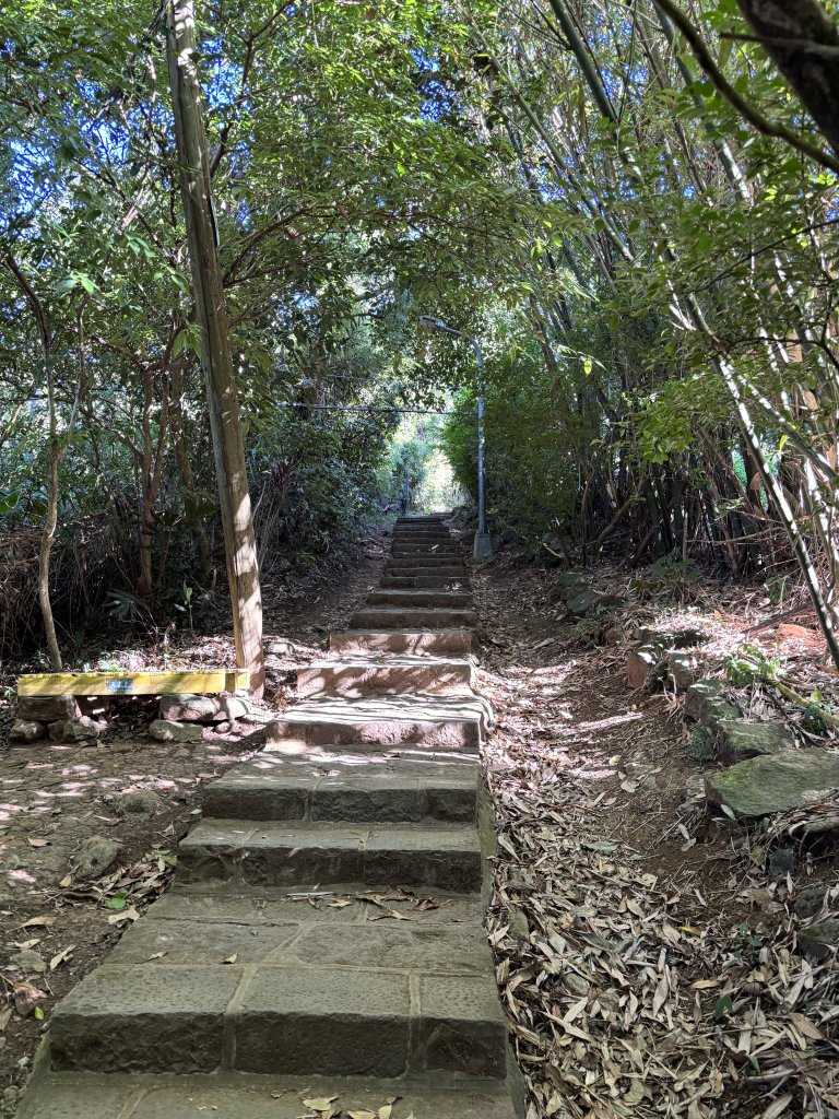 面天山、向天山、向天池_2921020