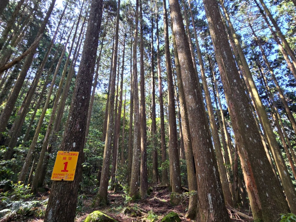 哈堪尼山_2761940