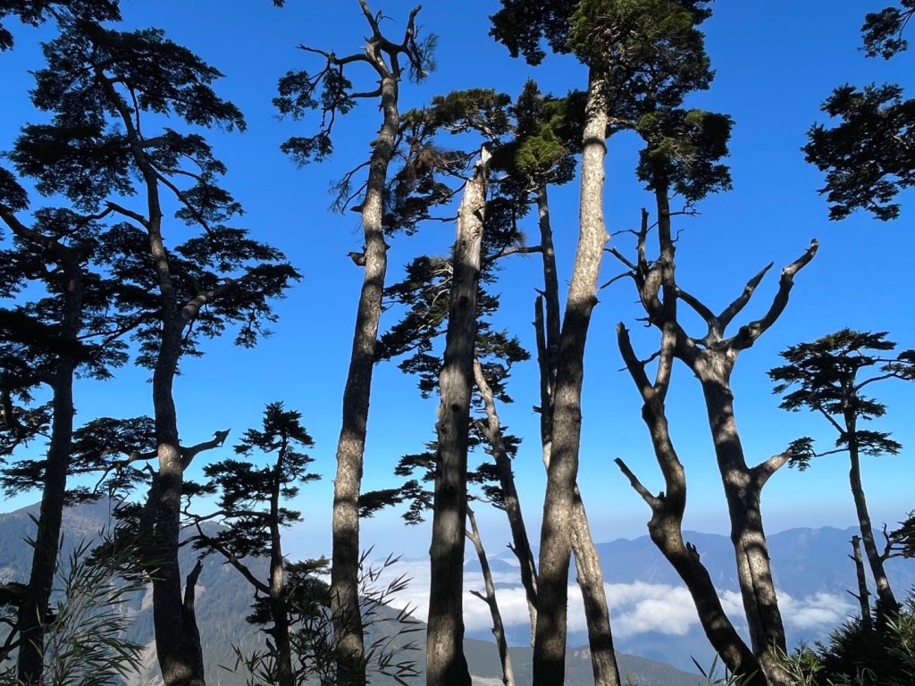 一日南橫二星人品爆發_2995775