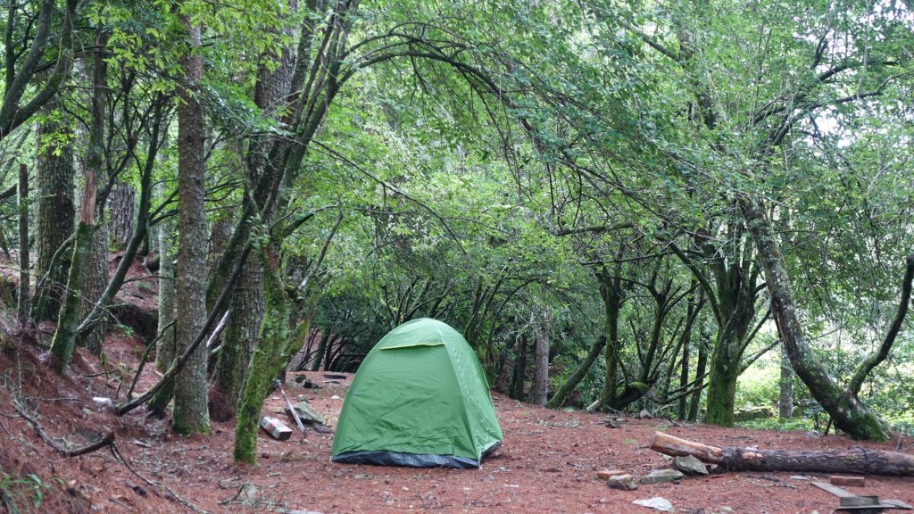 雙龍林道上巒安堂西巒大山_1778765