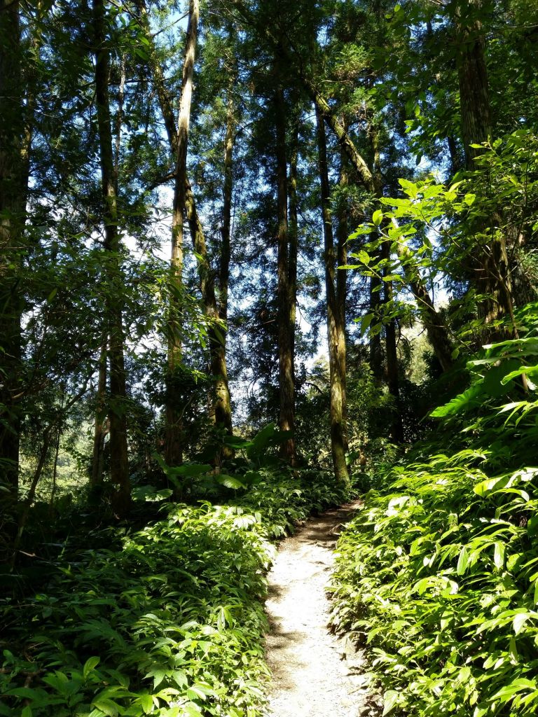 親子同享山水之樂_400194