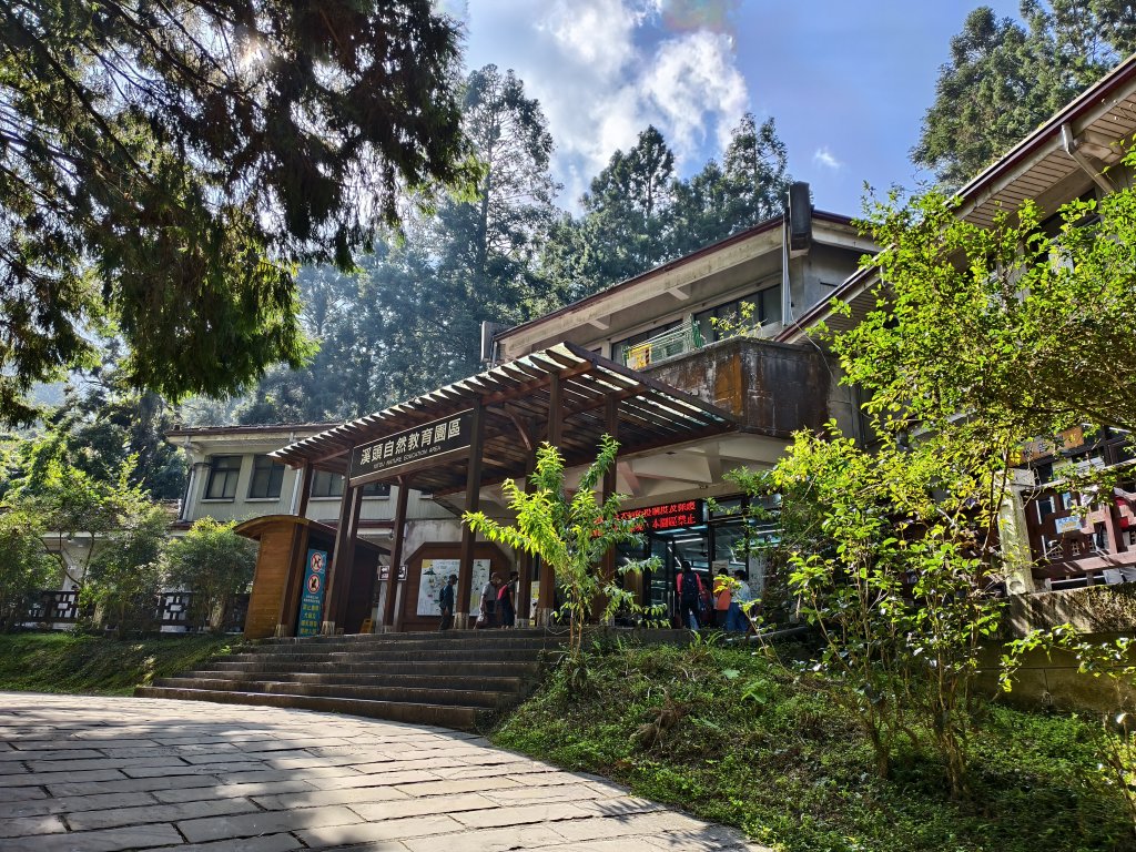 [百山百鳥尋旅-05/15] 2025_0830 溪頭賞鳥步道_賞鳥步道_2875027