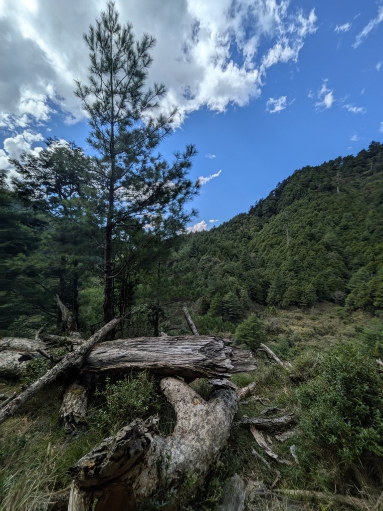 結界縱走三日(結城山、境界山、檜山)_2920913