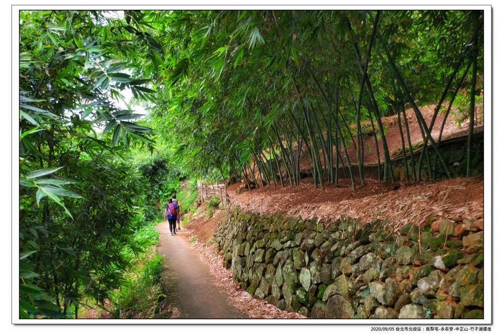 北投鳳梨宅-永春寮-中正山-竹子湖連走_1092768