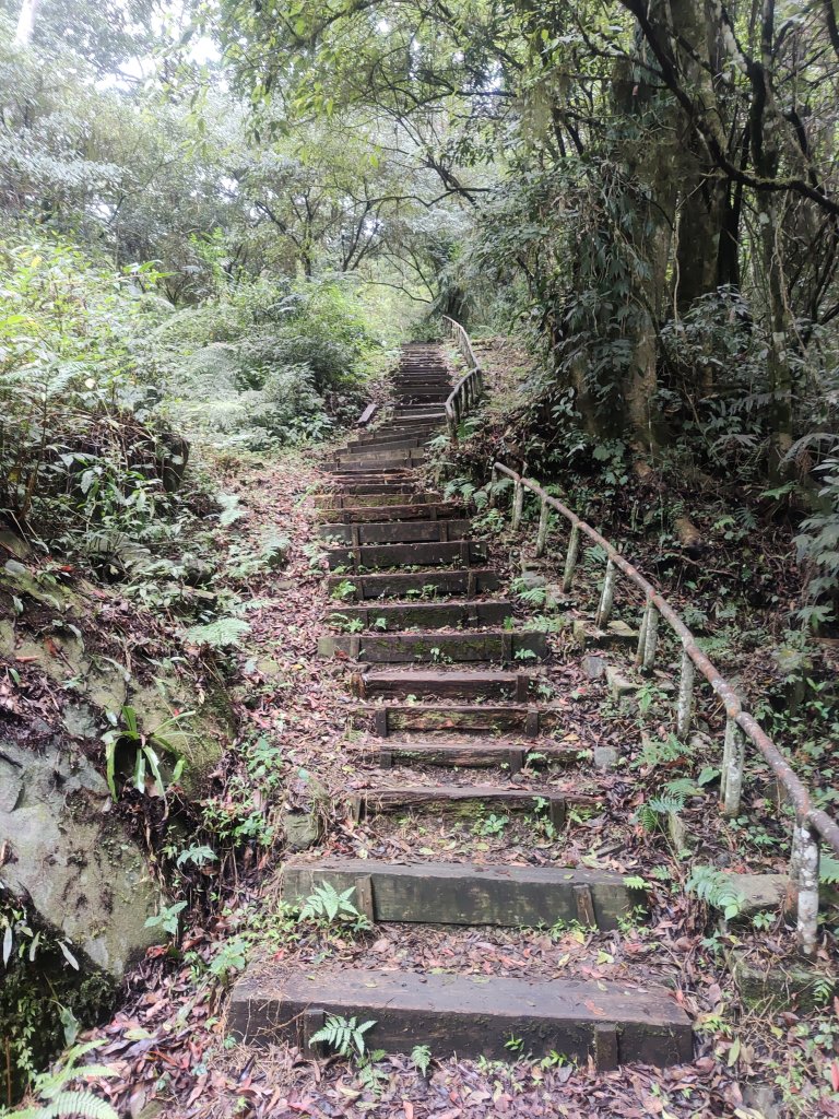 特富野古道_2453251