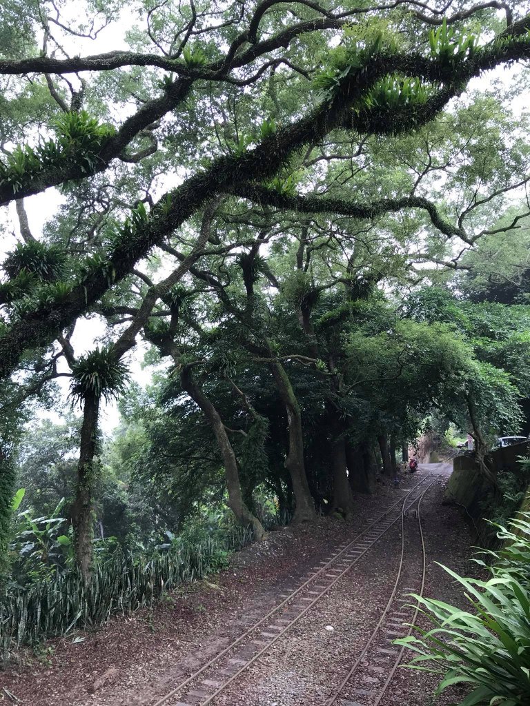 初訪獨立山步道_742196