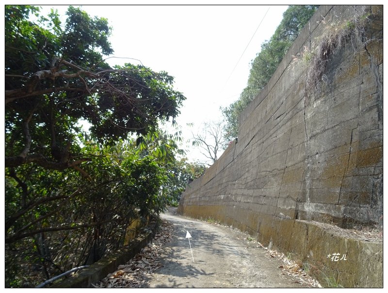 東南坑山(台中-太平)_1279615