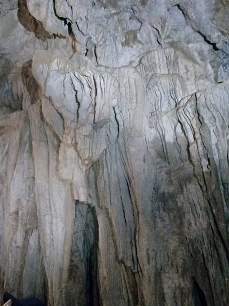 柴山步道(北柴山)_335114