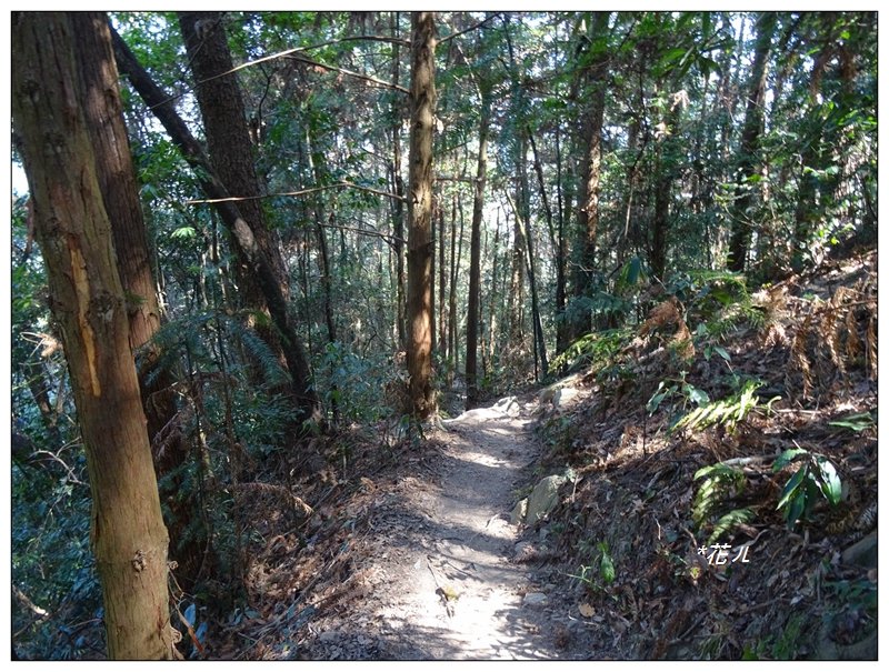 唐麻丹山/裡冷步道_868410