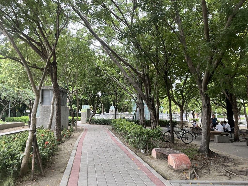[全臺走路趣尋寶-25/100] 2024_0706_南瀛綠都心公園_2546332