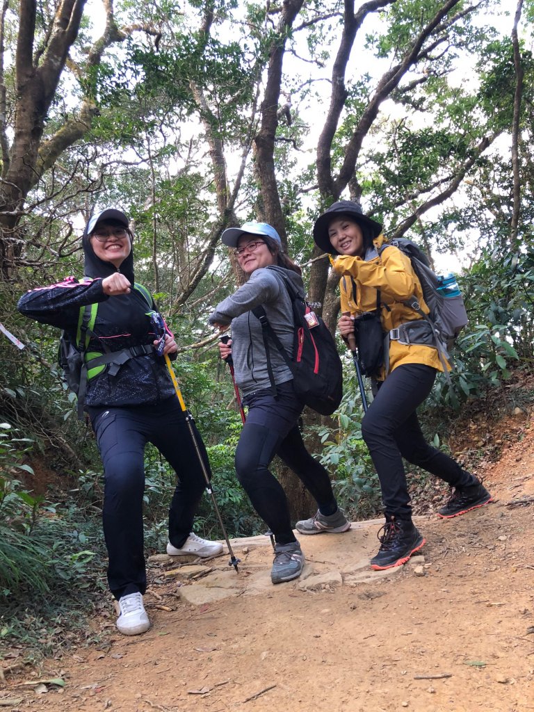 2020.03.08里龍山_878249