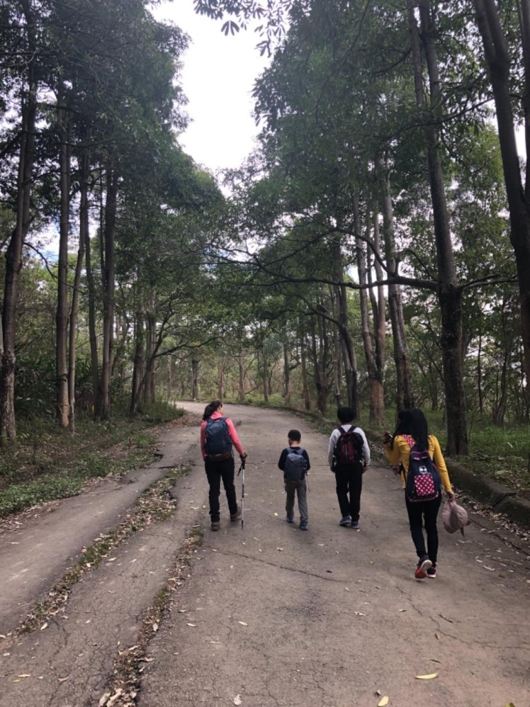 2019.01.19 三汀山_509699