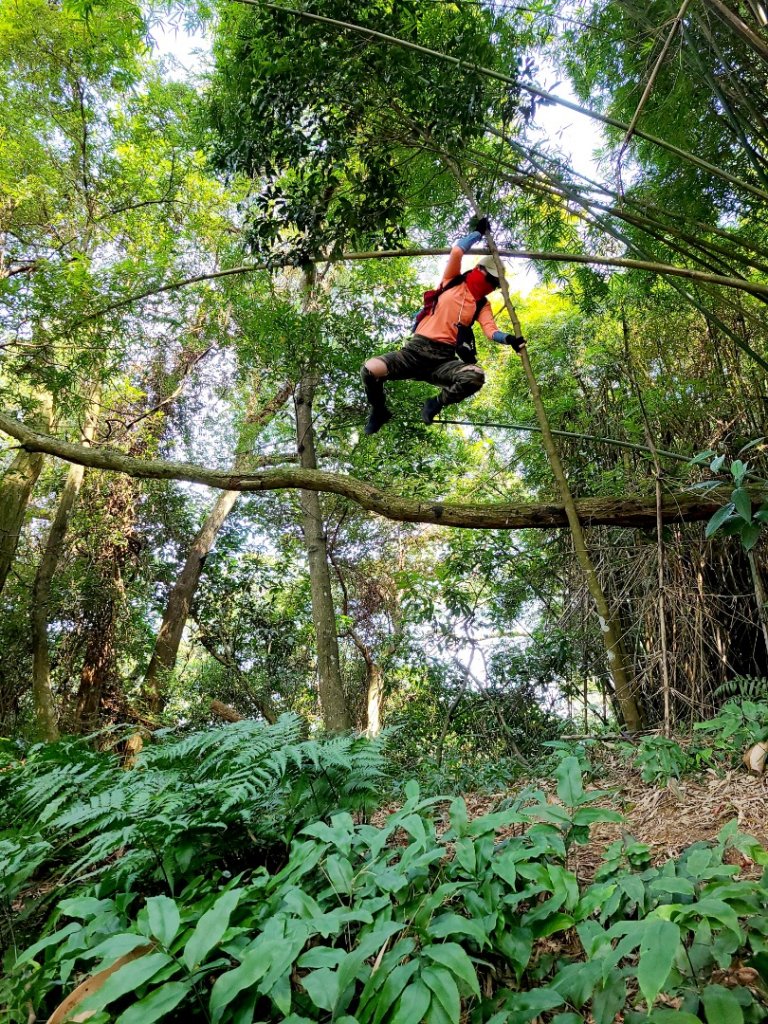 灣潭山和美山O型小走走_1279249