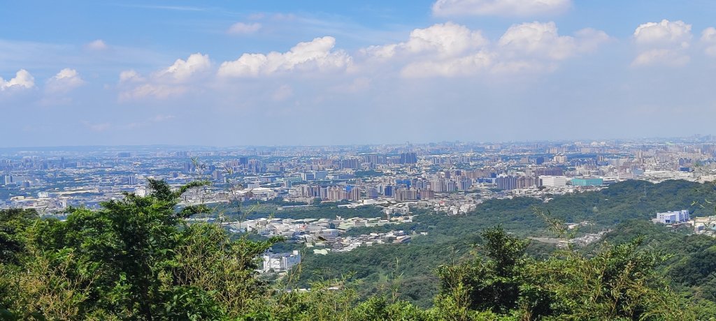 微笑山線：【大棟山系】百年大榕樹段封面圖