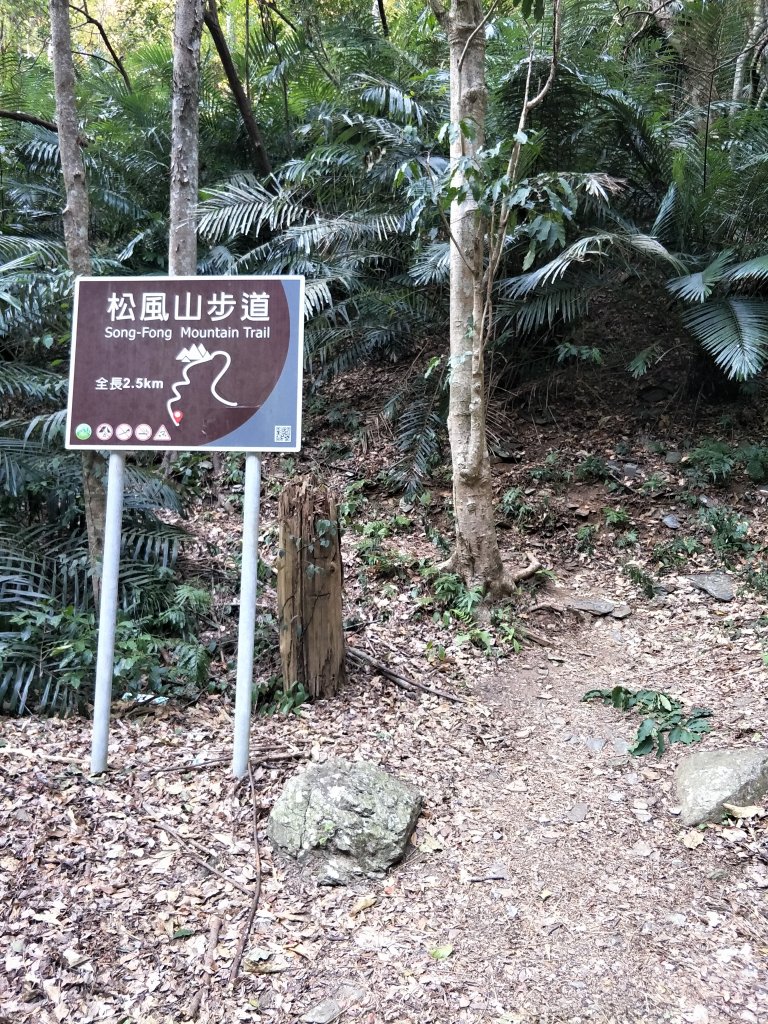 惠蓀林場_1281442