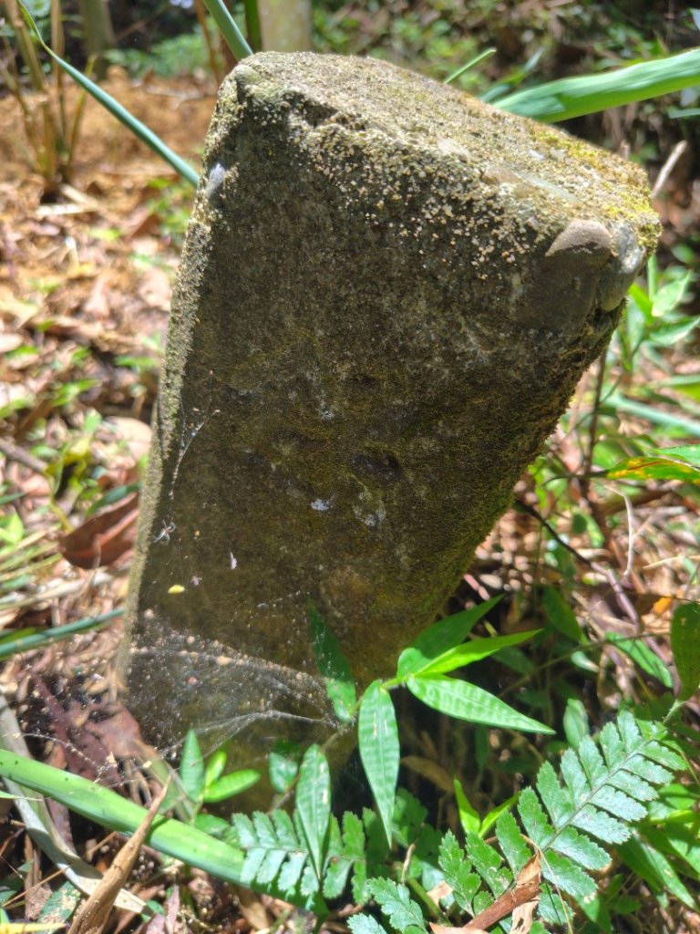 達娜伊谷-里美避難步道-巨石板步道-約富霓_2788535