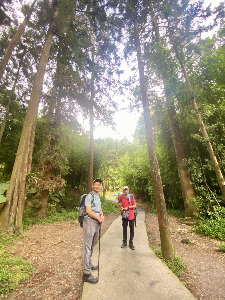 溪頭散步悠遊    2024.5.20_2517676