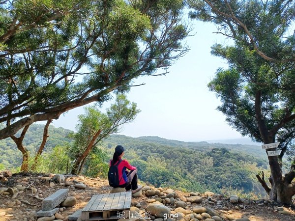 【台中大肚】綠蔭成徑。 大肚萬里長城步道O繞封面圖