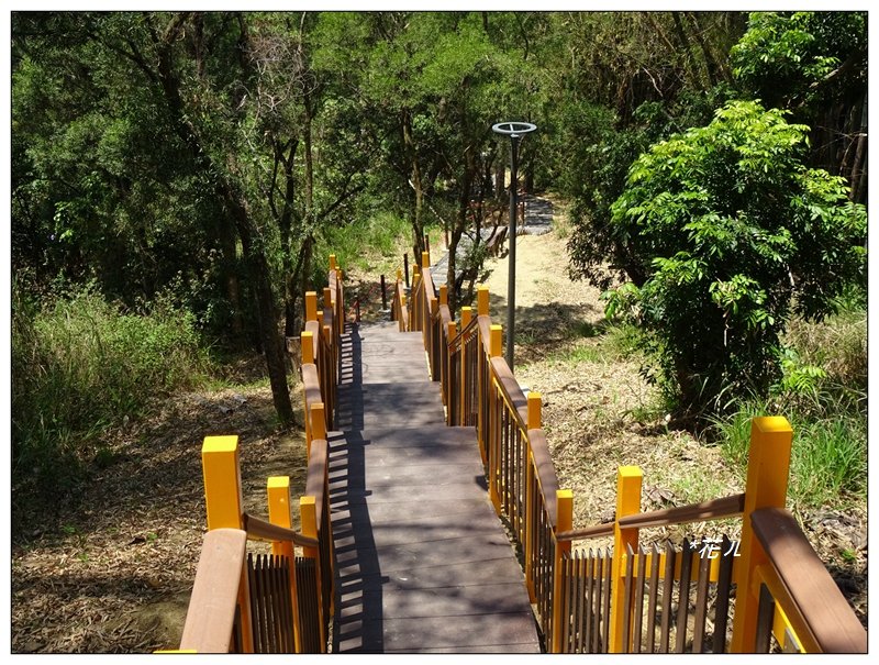 望月峰/獻堂登山步道_926110