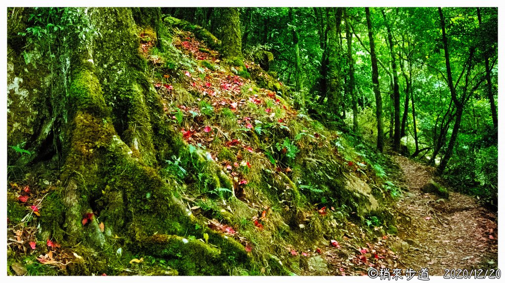 鳶嘴山之雲 稍來山之紅_1215312