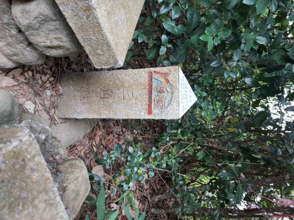 劍潭山親山步道_2017538
