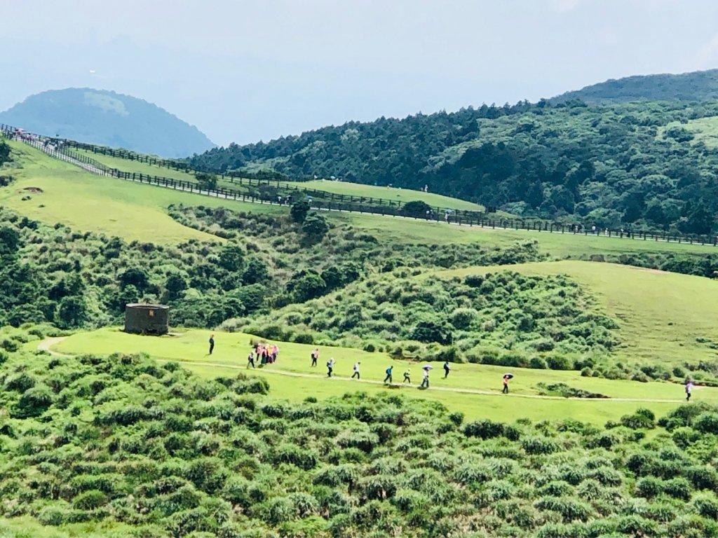 1140621冷水坑-擎天崗-石梯嶺封面圖