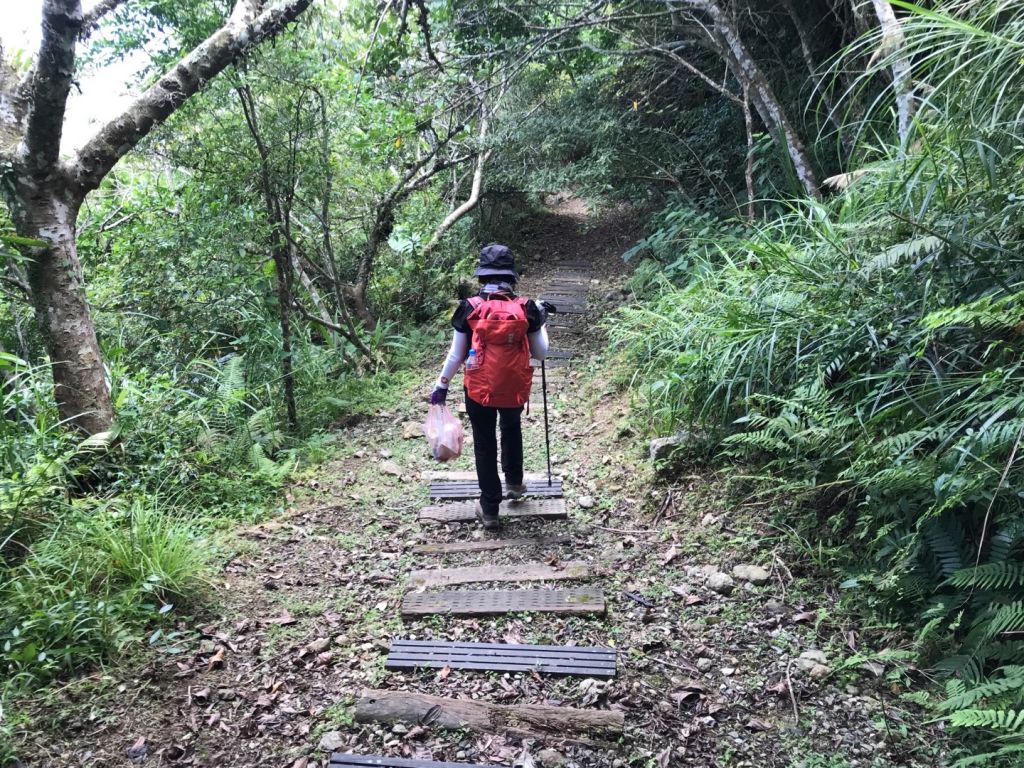 花蓮月眉山步道_392240
