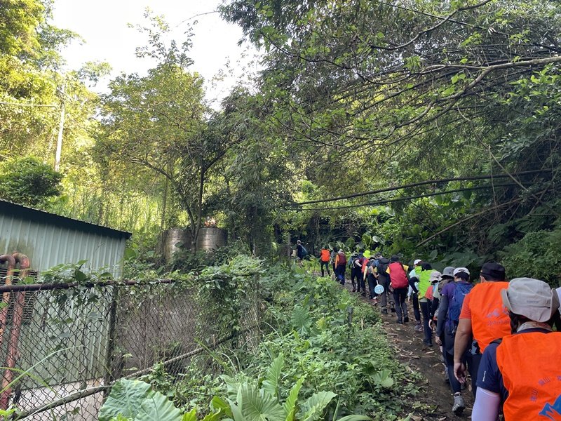 【大棟山系】百年大榕樹_2858093