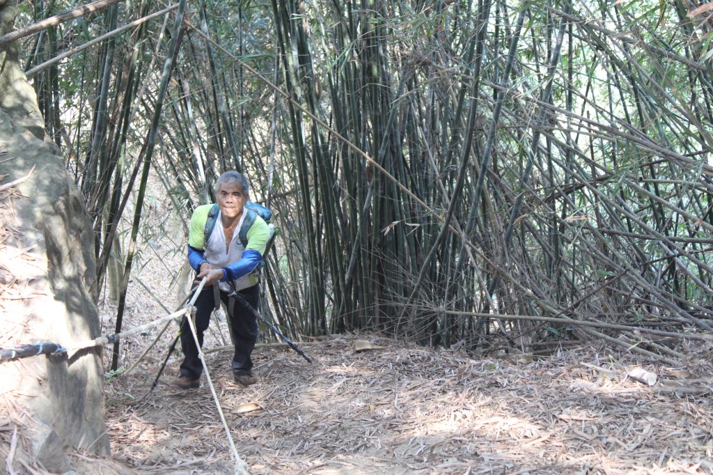 20230429高雄月茶縱走_2138485