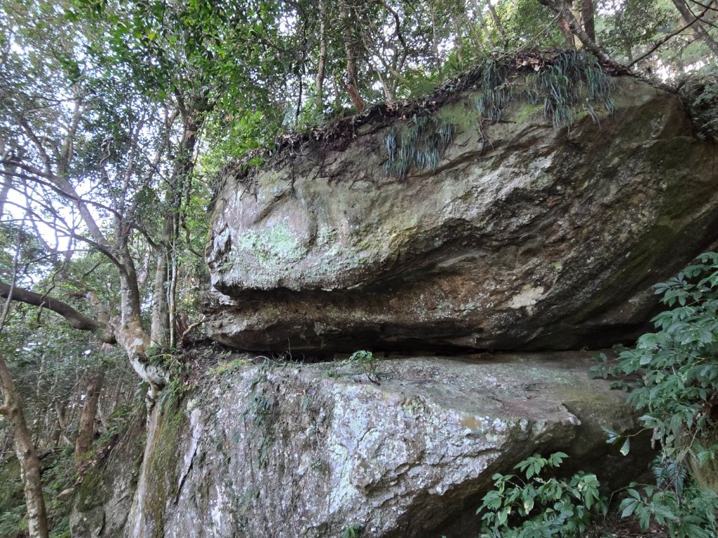 油羅山_3014854