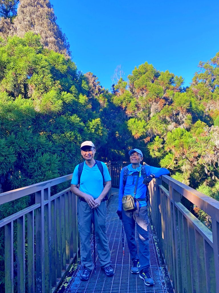 溪頭悠遊盡享森林浴 2020/11/19_1175731