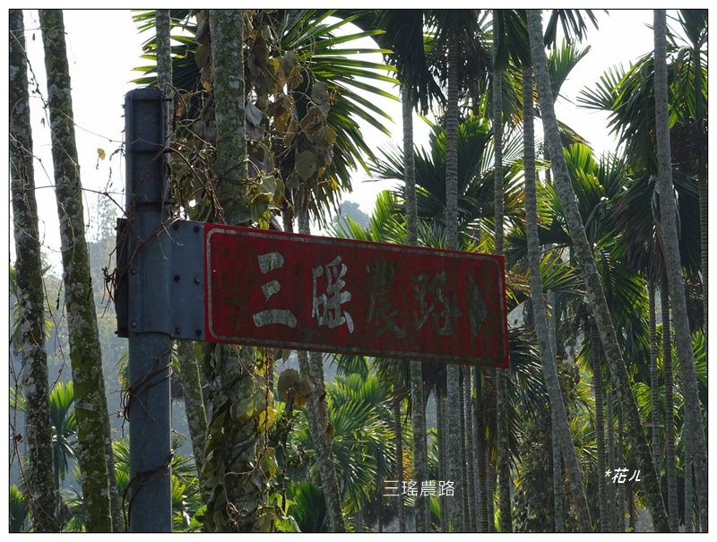 廍仔坑山/台中-太平_1283625