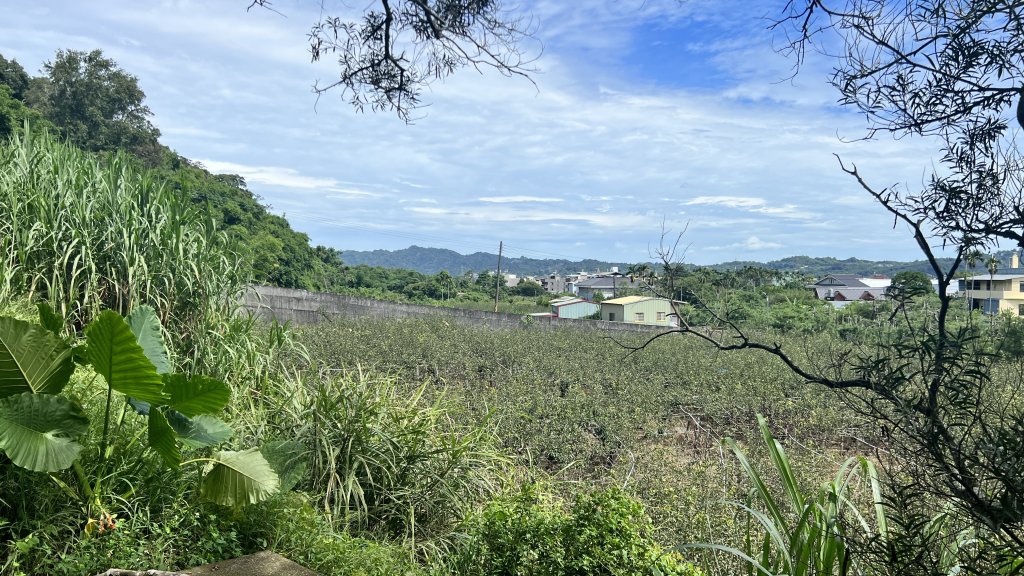 電火圳生態步道_2236111
