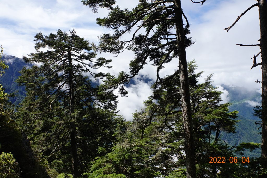 嘉義 阿里山 玉山前峰_1731171