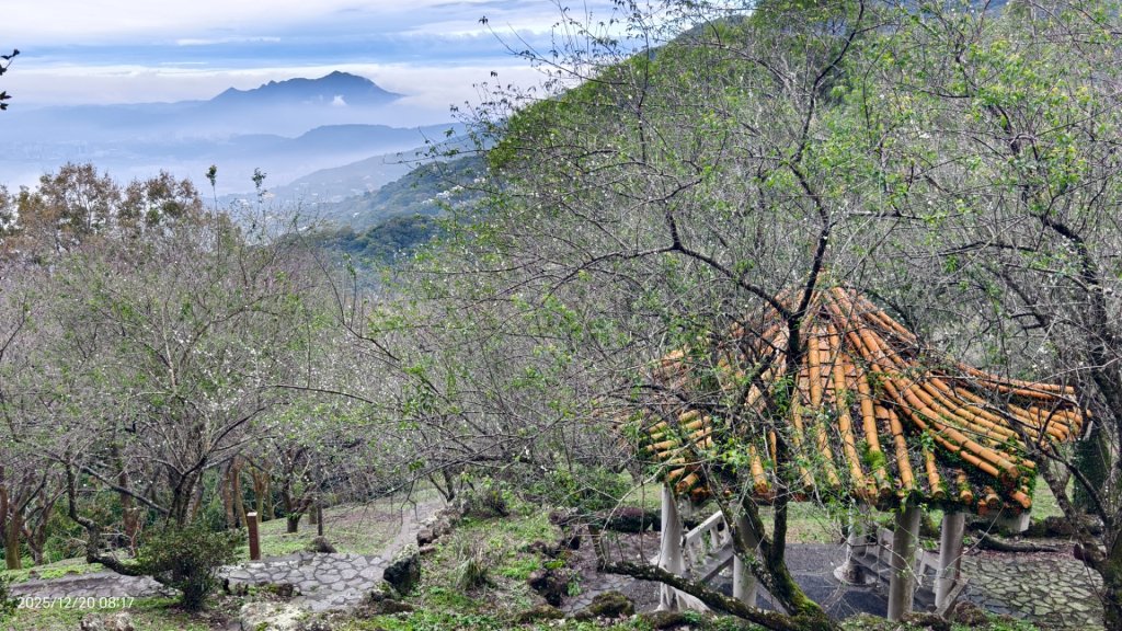 陽明山趴趴走追雲趣 #雲海 #雲瀑 #火燒雲 12/20 考考大家，認得幾個拍照取景地點共15個_2966211