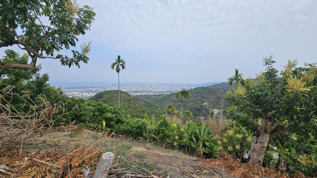 台中大縱走車籠山 淨德山 阿罩霧山_2468064