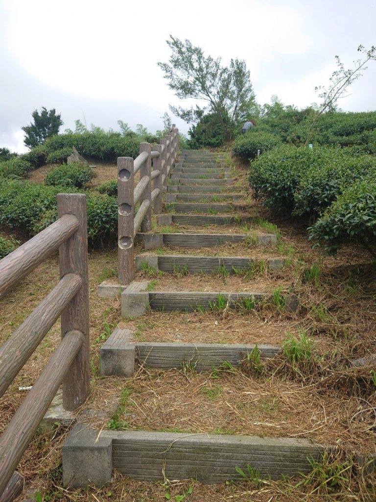 竹山大鞍大崙山封面圖