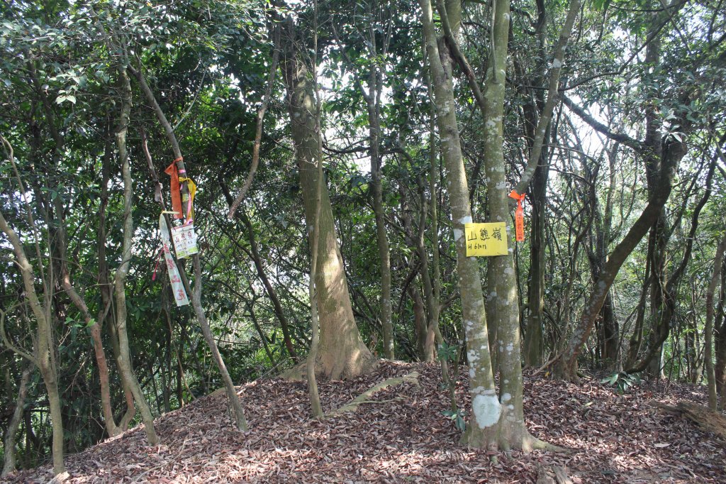 20230429高雄月茶縱走_2138534