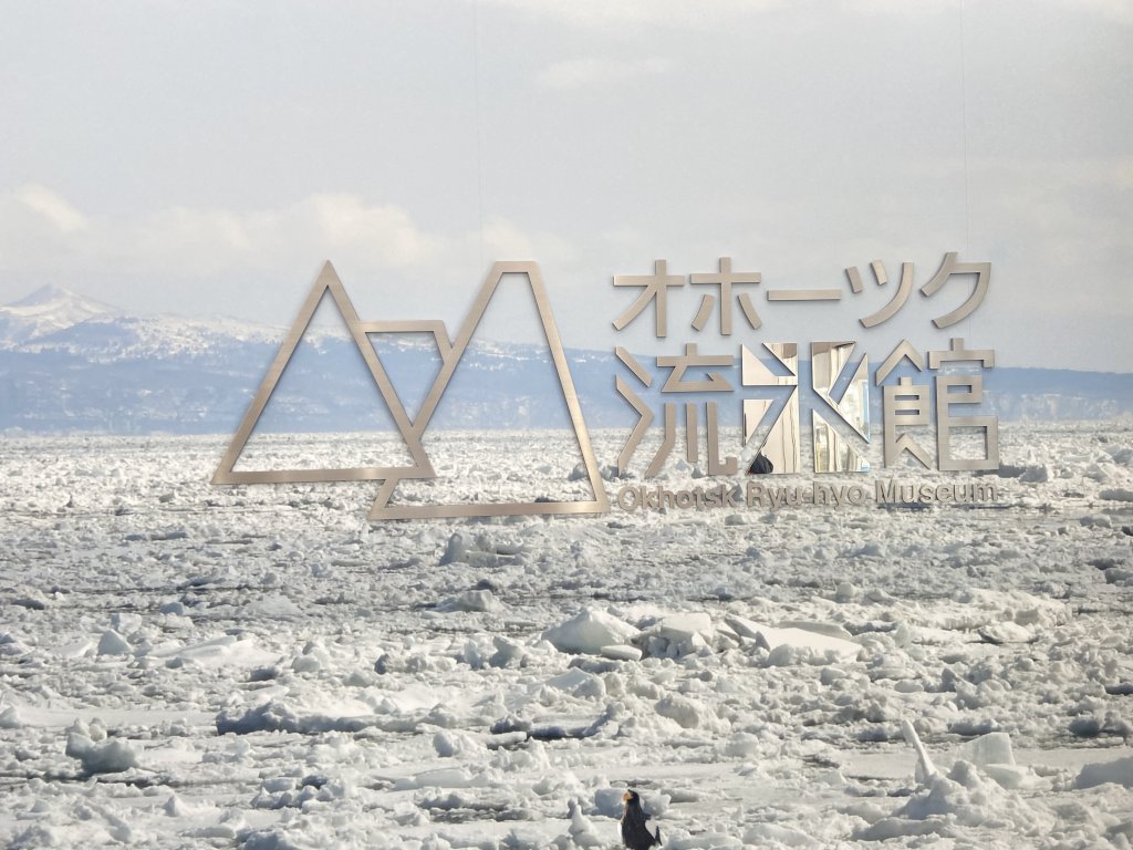 北海道------雪祭_3001919