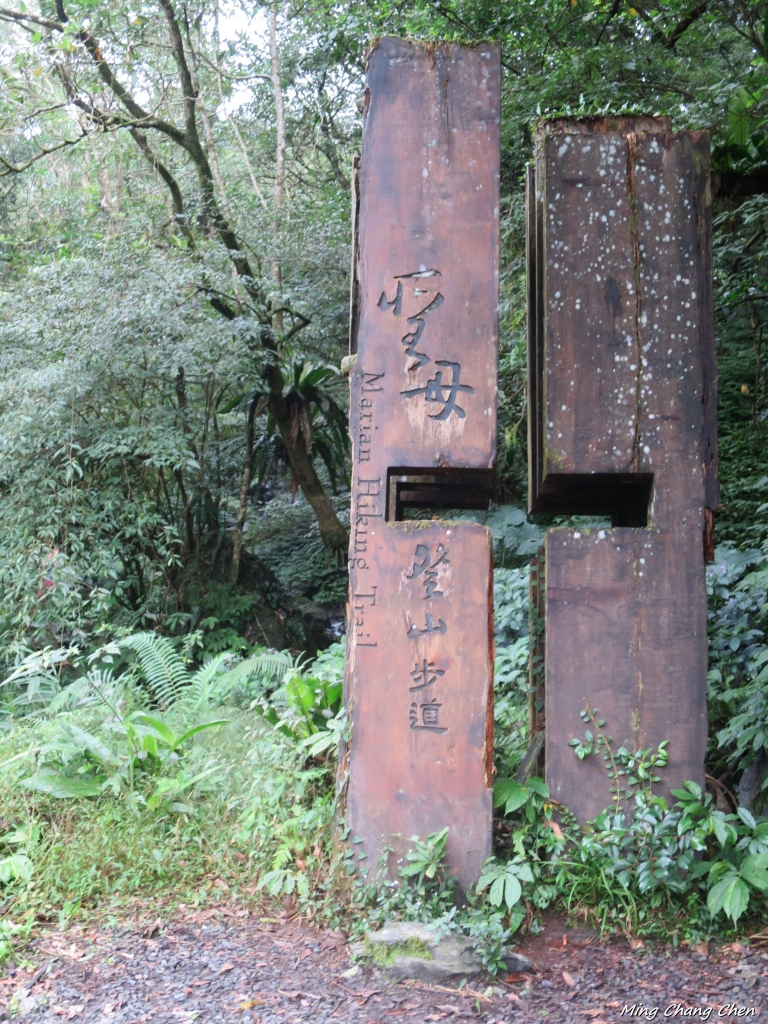 【山岳之美】~20141130~聖母登山步道_4638