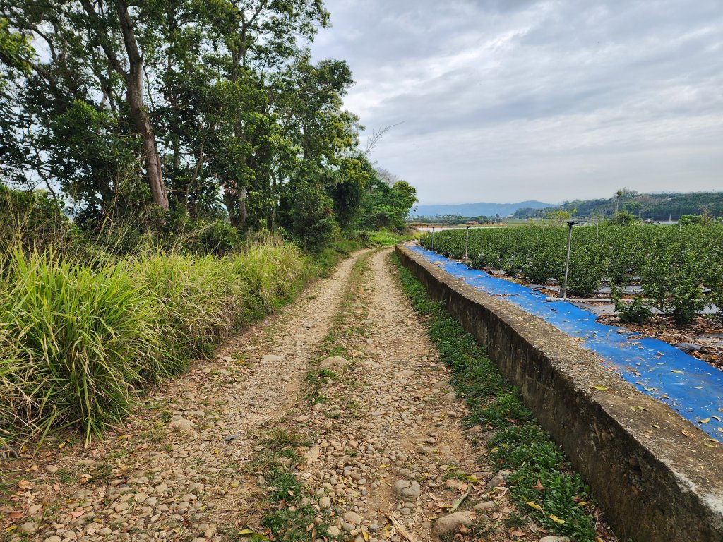 20250223田中大小劍與橫山_2939855