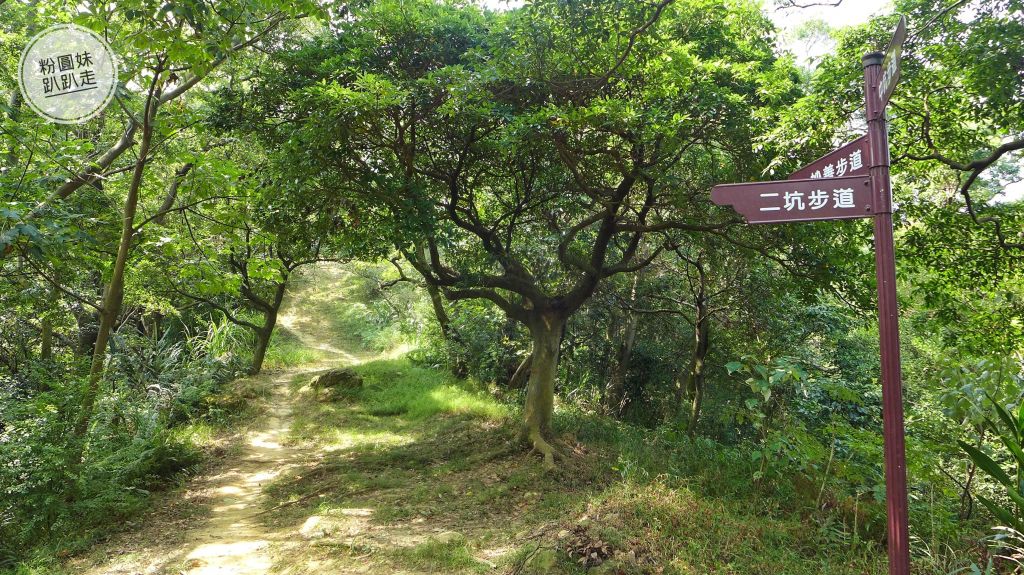 鶯歌石步道~牛灶坑山~碧龍步道~孫龍步道_187585